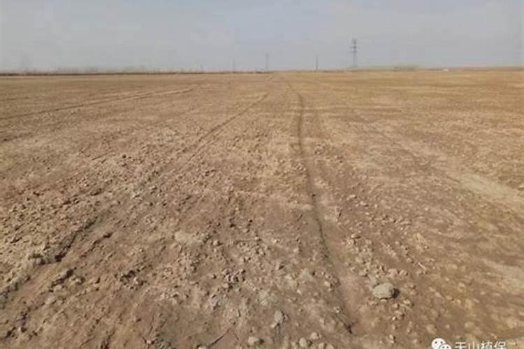 莴笋怎样施肥高产？莴笋对肥料的需求及施肥方法