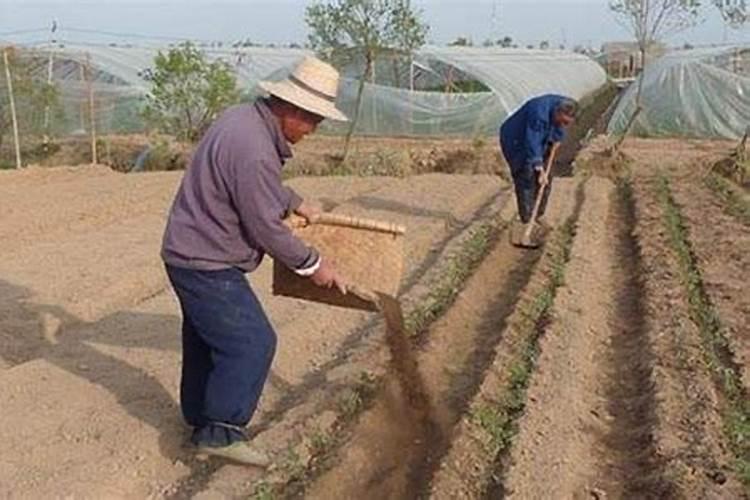 有机肥施肥的方法是怎样的？