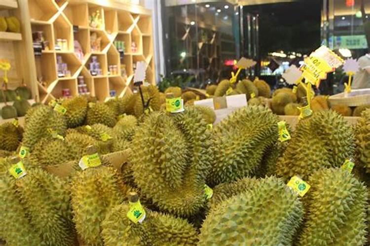 怎样给多肉施肥