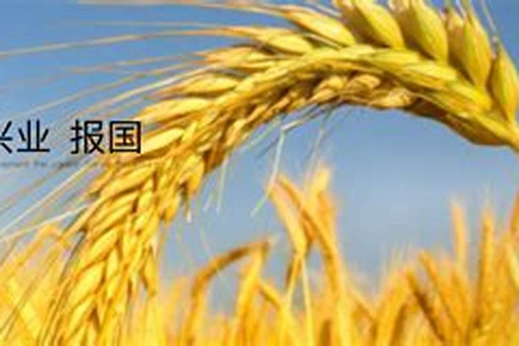 盐湖股份预计一季度净利润增长三倍,多家化肥公司业绩预喜