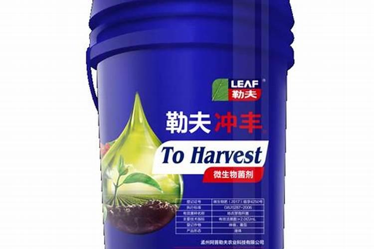 呙笋用什么作叶面肥最好效果最快