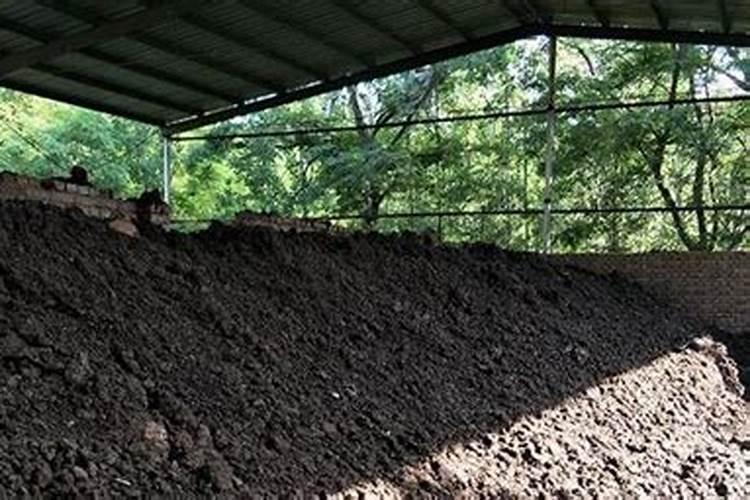 25年7月19日玉米价格