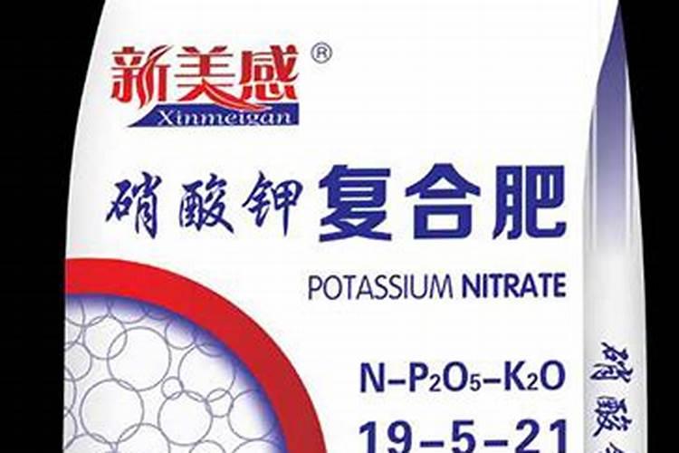 四季豆长起来了什么时候可以施肥？