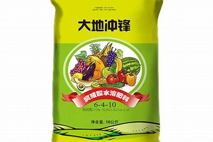 地瓜叶啥时候种