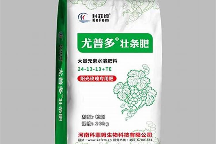 水果萝卜最佳种植时间