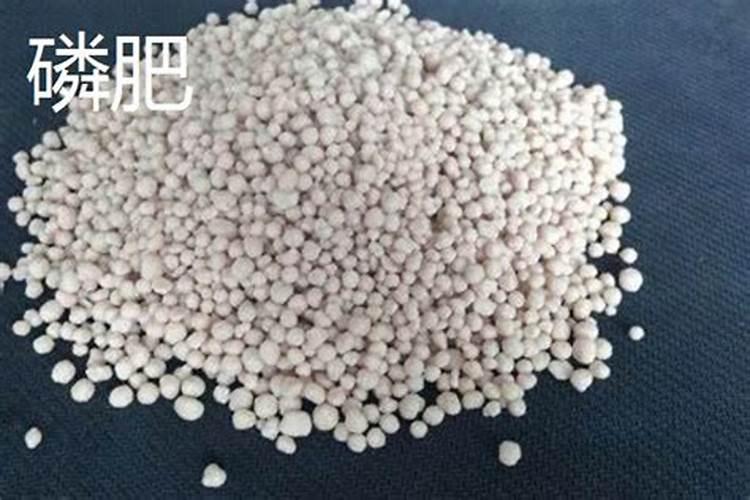 【粪便浇菜的危害】用粪便施肥影响大众养生网