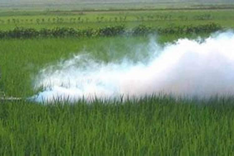 多效唑可以和叶面肥及杀菌剂一起喷吗？