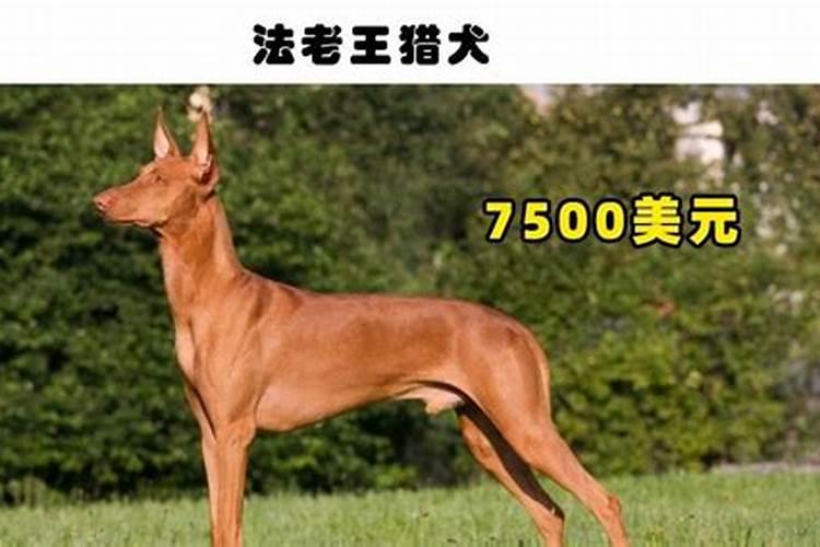 鄂中肥料三个15的是多少钱一公斤？