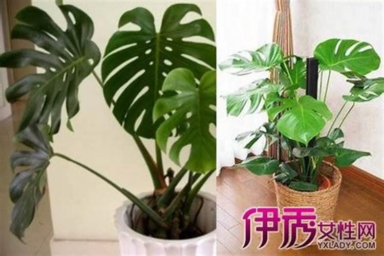 GB102052009什么时候实施的？