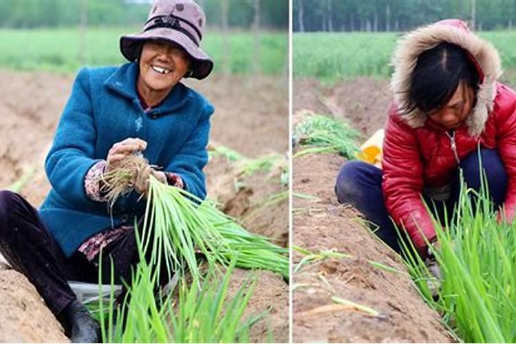 哈雷尔究竟对谁不满？赛场直称施罗德为废物,看来积怨已久了!