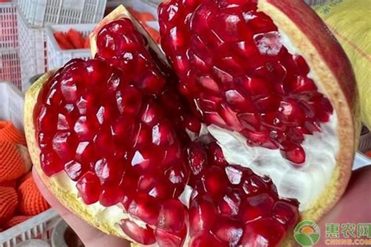 曲靖富源一代魔芋种子在哪里买