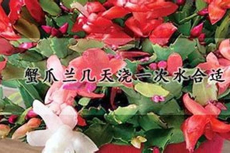 水溶肥知名品牌有哪些？