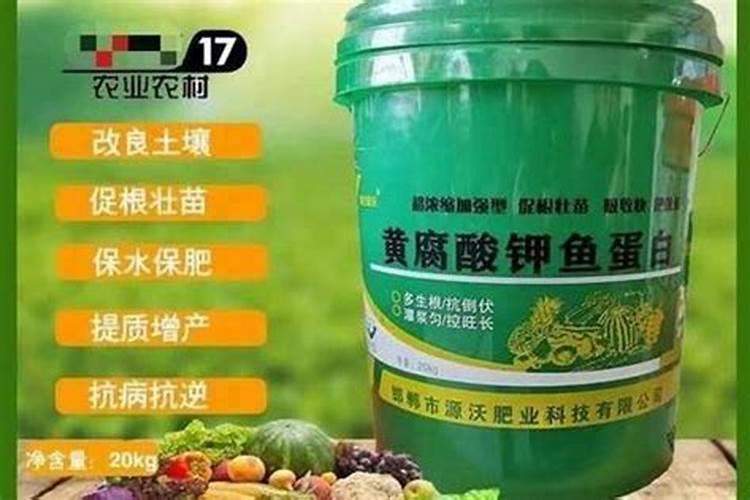 鱼蛋白的做法都有什么呢？