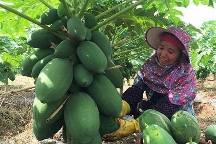 锂电巨头将被100%收购