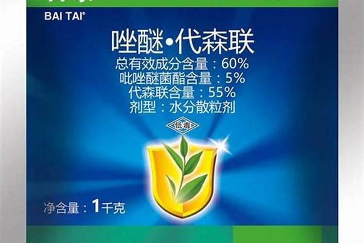 金枝玉叶盆栽怎么养