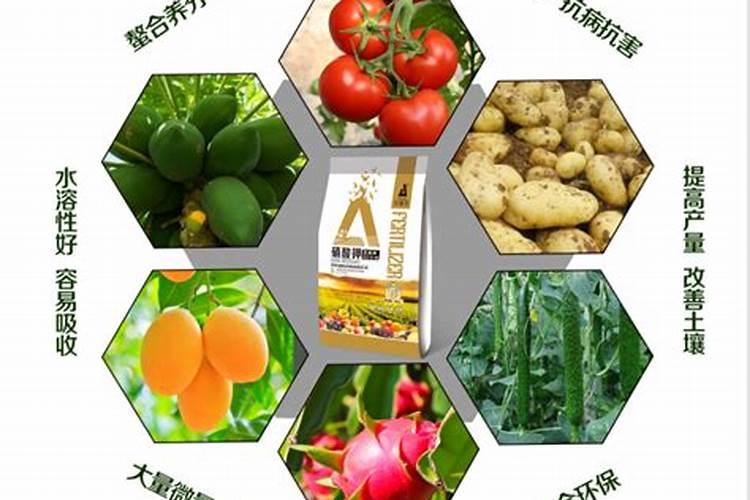 进口复合肥十大名牌