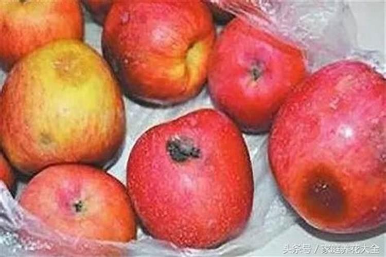 烂苹果怎么做肥料