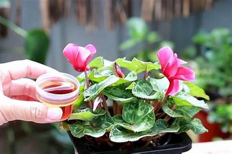 液体水溶肥料优缺点