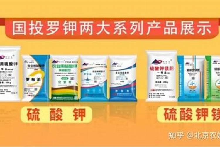 夏天大棚的辣椒如何种 夏天大棚的辣椒怎么种