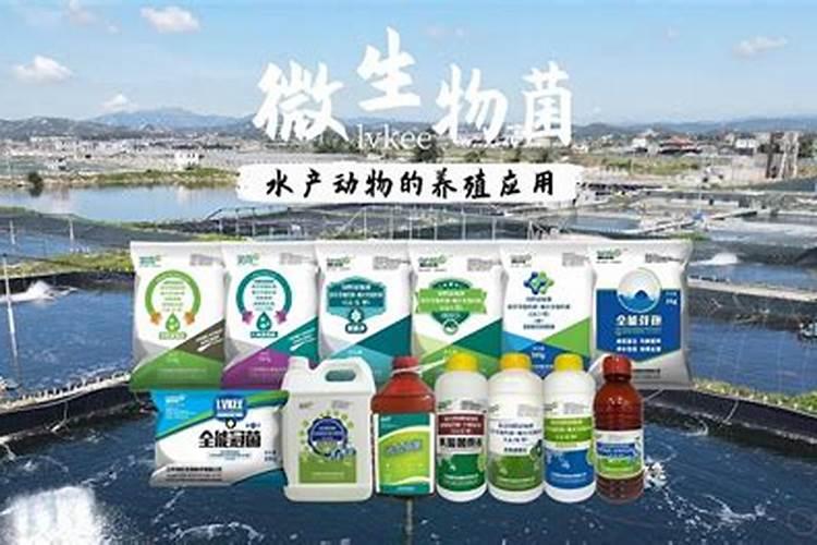 注意了!用了根小子微生物菌肥的种植户和经销商都觉得好用