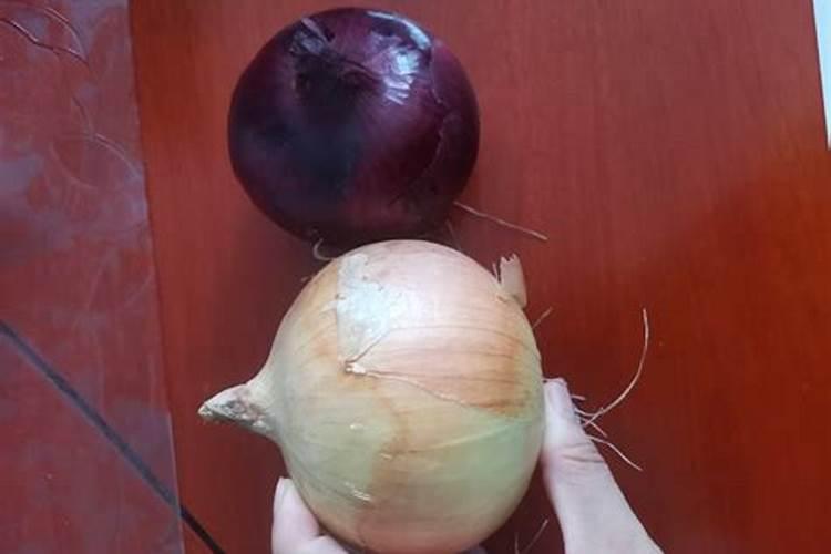 洋葱放冰箱能放多久