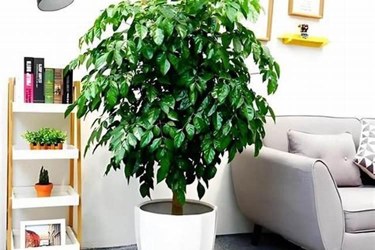 不锈钢胶体磨,昊星智造