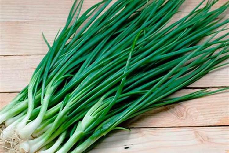 大连市樱桃谷园林绿化有限公司怎么样？