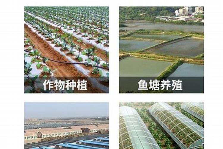 涨价预警!氮、磷、钾肥都涨价了,涨多少？鉴别假化肥的4个方法