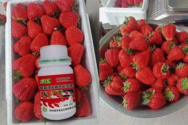草莓挂果后几天施一次肥