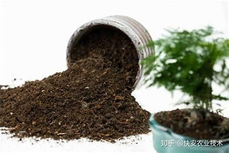 请问目前市场上的土壤调理剂有哪些？