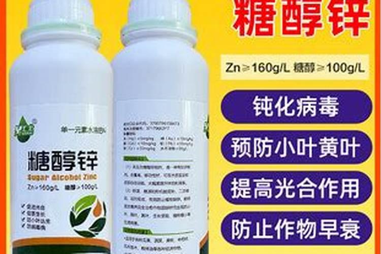 嫁接西瓜苗长势慢怎么办？