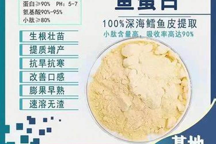 草莓追施水溶肥有效果吗？水溶肥多少钱一包？水溶肥的使用方法!