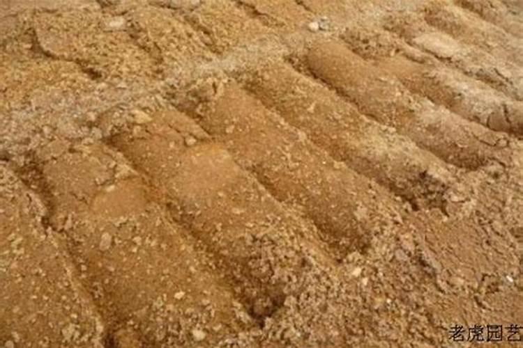 沙土地怎么改良土壤 沙土地如何改良土壤