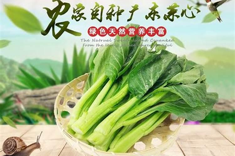 菜心怎样施肥长得快