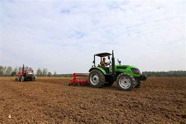 小麦复合肥的最佳配方