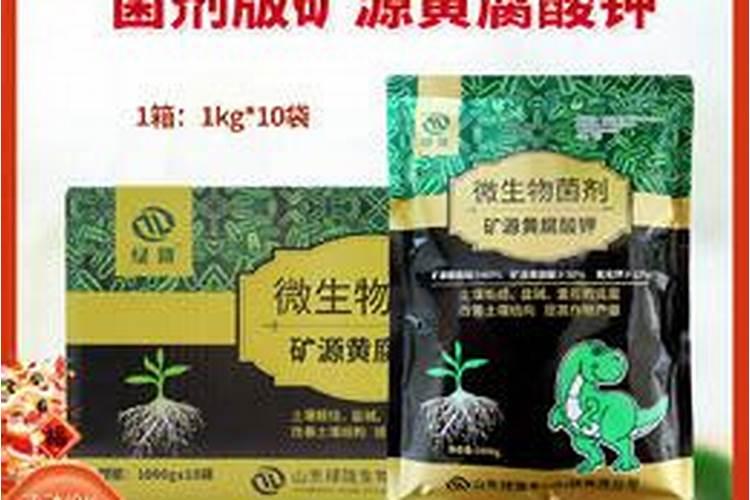 植物叶子用什么肥料能变大变厚？