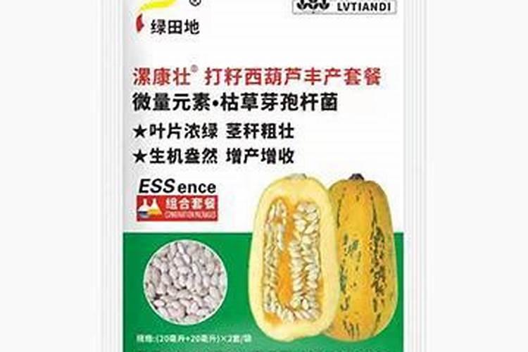 打籽西葫芦怎么种才结的多打籽西葫芦如何种才结的多