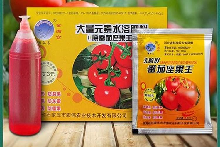番茄坐果后怎样施肥？西红柿叶面肥喷施注意什么？