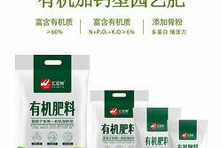 随笔小雏菊成长记(一):“老母亲”种植记