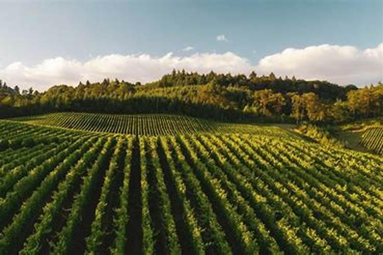 东海县山左口肥料厂在做肥料吗？