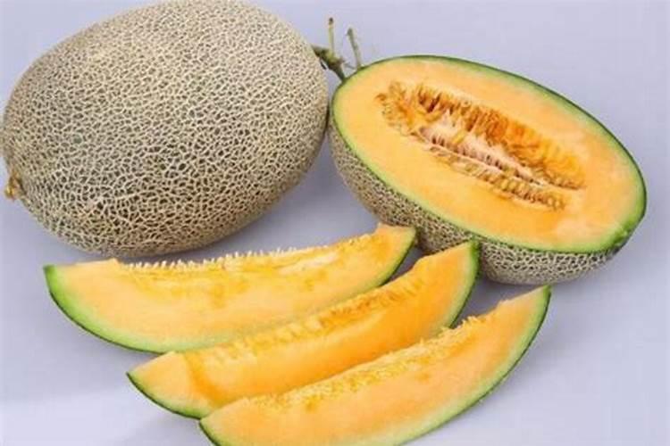 哈密瓜生长中后期,病虫害如何防治？