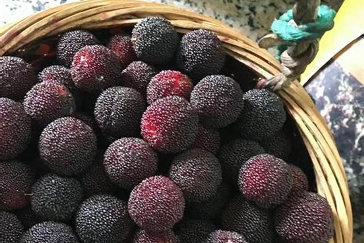 杨梅树苗施什么肥最好？