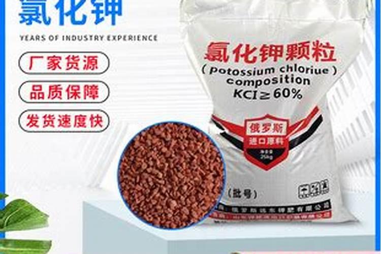 茉莉的施肥方法和注意事项