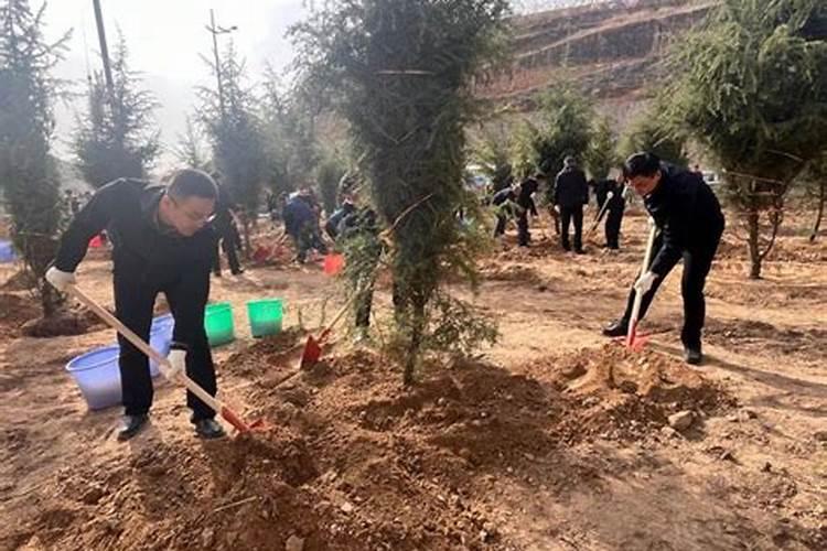 阿米巴碳基水溶肥多少钱一吨