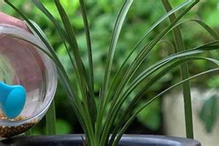 新加坡隆奥投资是正规公司吗