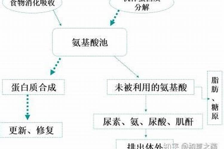 草莓多久施肥一次