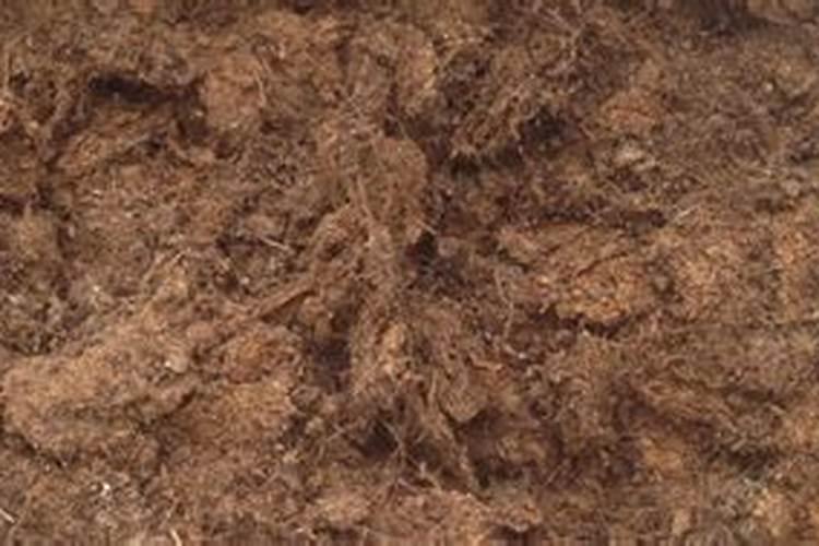 腐植酸有什么作用？腐植酸肥料的使用标准是什么？