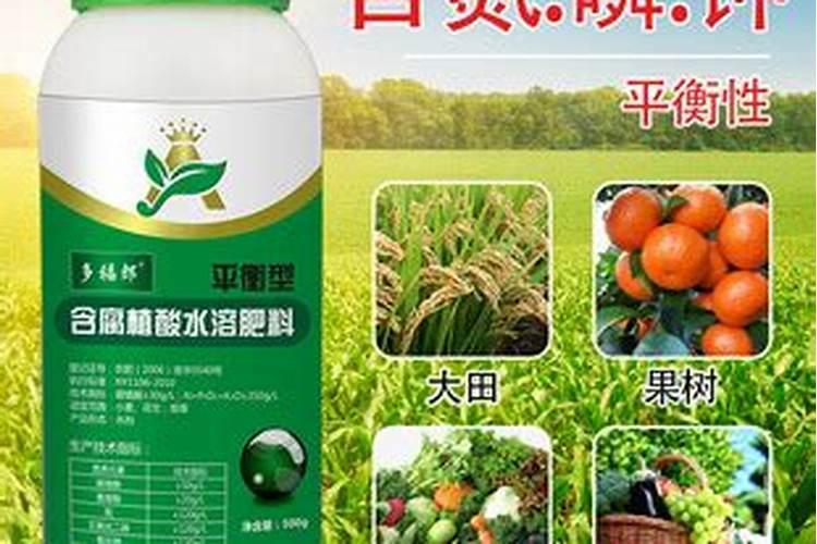 想要种植好柑橘,要学会入门基础,新手须知