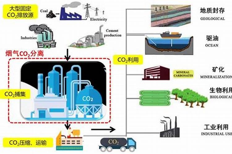 碳肥是什么肥料