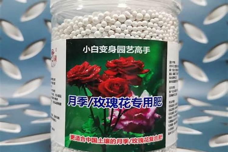 月季花冬季如何施肥效果最好,可以用水溶肥吗？